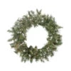 Snow Mountain Pine Artificial Christmas Wreath - 30-Inch, Unlit -Optimal Christmas Shop 0eii5x3ypkkgkxod3k0qrphsmijhofae 79836.1667662352