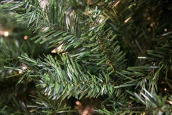 7.5' Pre-Lit Slim Traditional Mixed Pine Artificial Christmas Tree - Clear Lights 7 7.5' Pre-Lit Slim Traditional Mixed Pine Artificial Christmas Tree - Clear Lights -Optimal Christmas Shop 0luibjc23dainrmpprnkisyxjtso3bk7 35327.1667661836