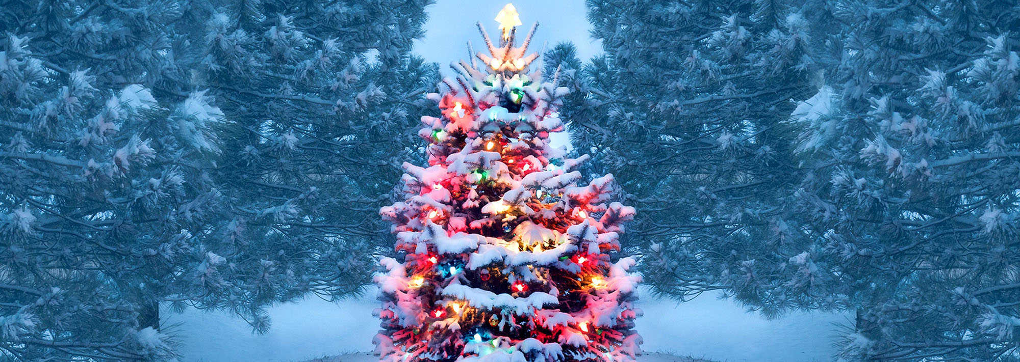 Optimal Christmas Shop -Optimal Christmas Shop 1