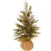 18" Potted Glitter Pine Full Artificial Christmas Tree - Unlit -Optimal Christmas Shop 21hv27yhppkbvy1vbhu7vl52zxxlawhj 67051.1667578316