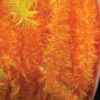Orange Fuzzy Boa Party Garland 0.75" X 55 Yards 2 Orange Fuzzy Boa Party Garland 0.75" X 55 Yards -Optimal Christmas Shop 41mmlmaytcaylgl2gaz755xzpiq1lxpa 35 07700.1667683291