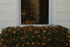 4' X 6' Orange Mini Incandescent Net Style Christmas Lights - Green Wire -Optimal Christmas Shop 45jpjtwipxupidx0i3govygltioffsod 27760.1667489938