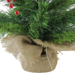 24" Mixed Cashmere Berry Pine Medium Artificial Christmas Tree - Unlit 13 24" Mixed Cashmere Berry Pine Medium Artificial Christmas Tree - Unlit -Optimal Christmas Shop 4fszc7qvvh13bkrz4obzvfcqiilqrfuf 13163.1684869033