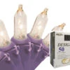 50-Count Clear Incandescent Mini Christmas Light Set, 19ft Purple Wire -Optimal Christmas Shop 4rtjkyx9bi5emys3vyjif9xoxcsrvghf 20117.1667536406
