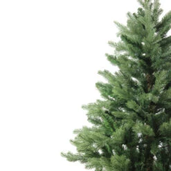 6' Mixed Eden Pine Artificial Christmas Tree - Unlit -Optimal Christmas Shop 54eicahwdcqetvofjhegr069k2lnllre 70797.1686702324