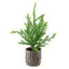 12" Potted Medium Artificial Pine Christmas Tree - Unlit 1 12" Potted Medium Artificial Pine Christmas Tree - Unlit -Optimal Christmas Shop 5hip95ydsnqwl35ipyuiki9d00xcj5de 46617.1667575680