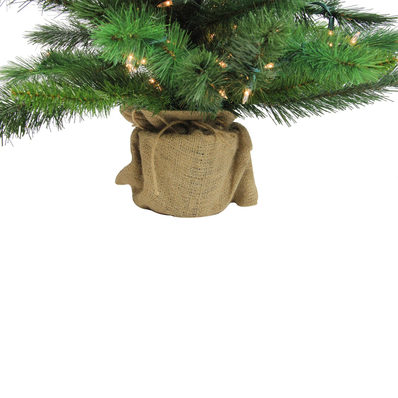 3' Pre-Lit Potted New Carolina Spruce Medium Artificial Christmas Tree - Clear Lights 6 3' Pre-Lit Potted New Carolina Spruce Medium Artificial Christmas Tree - Clear Lights - Image 4