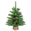 3' Pre-Lit Potted New Carolina Spruce Medium Artificial Christmas Tree - Clear Lights 2 3' Pre-Lit Potted New Carolina Spruce Medium Artificial Christmas Tree - Clear Lights -Optimal Christmas Shop 7rjx1uxnd3jwra2mvxmfo8ikd1jszswx 50906.1667655122