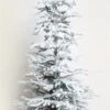 4' Pre-Lit Frosted Pine Christmas Tree In Burlap Sack - Clear Lights -Optimal Christmas Shop a9wrlsdqdlgi92jkhwbmpw7vvkrnajdm 11281.1667661838