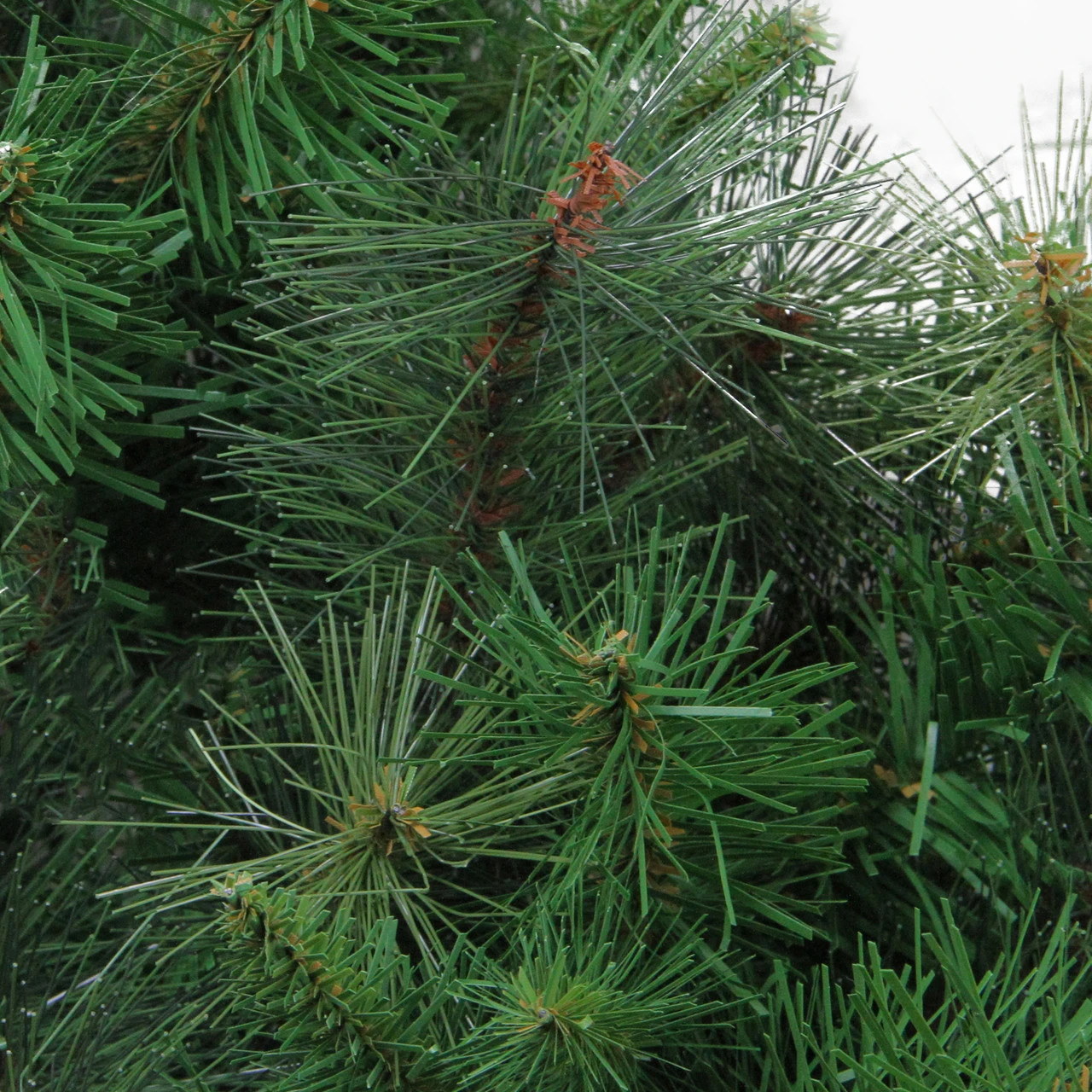 Canyon Pine Mixed Artificial Christmas Wreath, 48-Inch, Unlit 4 Canyon Pine Mixed Artificial Christmas Wreath, 48-Inch, Unlit - Image 2