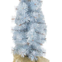 2' Blue Potted Frosted Pine Slim Artificial Christmas Tree - Unlit 5 2' Blue Potted Frosted Pine Slim Artificial Christmas Tree - Unlit -Optimal Christmas Shop arett20est84p24b2 02 62503.1667491137