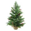 24" Mixed Cashmere Berry Pine Medium Artificial Christmas Tree - Unlit -Optimal Christmas Shop b1jjxyjwpncjdqkv8uqayyqeifwljqbh 26978.1684869032
