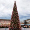 26.5' Pre-Lit Everest Fir Giant Commercial Tower Christmas Tree - Warm White C7 LED Lights -Optimal Christmas Shop cc20k4373 18t20clear 1 13995.1680153264