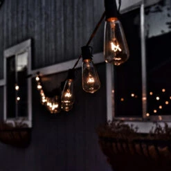 10-Count Clear Edison Glass Patio Lights, 9ft Green Wire -Optimal Christmas Shop clearedisonbulbs stylized 07481.1667575615