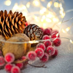 100 Warm White LED Micro Fairy Lights - 16.25 Ft Copper Wire -Optimal Christmas Shop clearfairy2updated 53683.1671319094