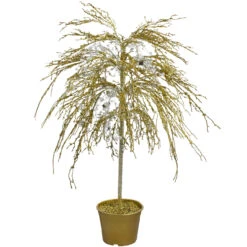 3.75" Gold Crystallized Glitter Potted Artificial Christmas Tree - Unlit