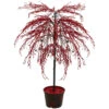 3.75' Red Crystallized Glitter Potted Artificial Christmas Tree - Unlit -Optimal Christmas Shop cmi 14508 02462.1667662810