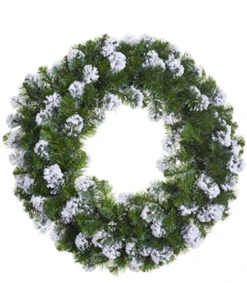 Snowy Flocked Colorado Pine Artificial Christmas Wreath, 30-Inch, Unlit -Optimal Christmas Shop db1hj7gocuznggsvaxjdy0mpzenjoxgl 27246.1667575984