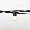 12-Count Clear Edison Bulb Light Set, 21ft Black Wire -Optimal Christmas Shop dhine 37502 10 1 89448.1667646222