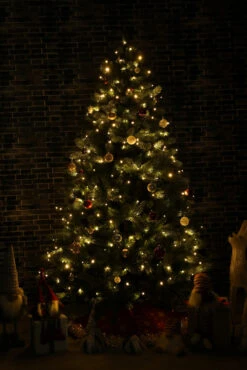 65.25' Multi-Function Timed Pattern String Lights - 200 RGB LED With Remote -Optimal Christmas Shop dhine 37511 200 6 49706.1667513635