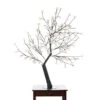 47.25" White And Black Outdoor Cherry Blossom Tree With Floral Lights 1 47.25" White And Black Outdoor Cherry Blossom Tree With Floral Lights -Optimal Christmas Shop dhine 39049 ww 1 99662.1667621679