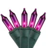 150ct Purple Mini Incandescent Christmas Light Set, 37.5' Green Wire -Optimal Christmas Shop dl6mzlda6qvvfj6cbb8mk5jem0v4slnc 57733.1667575912