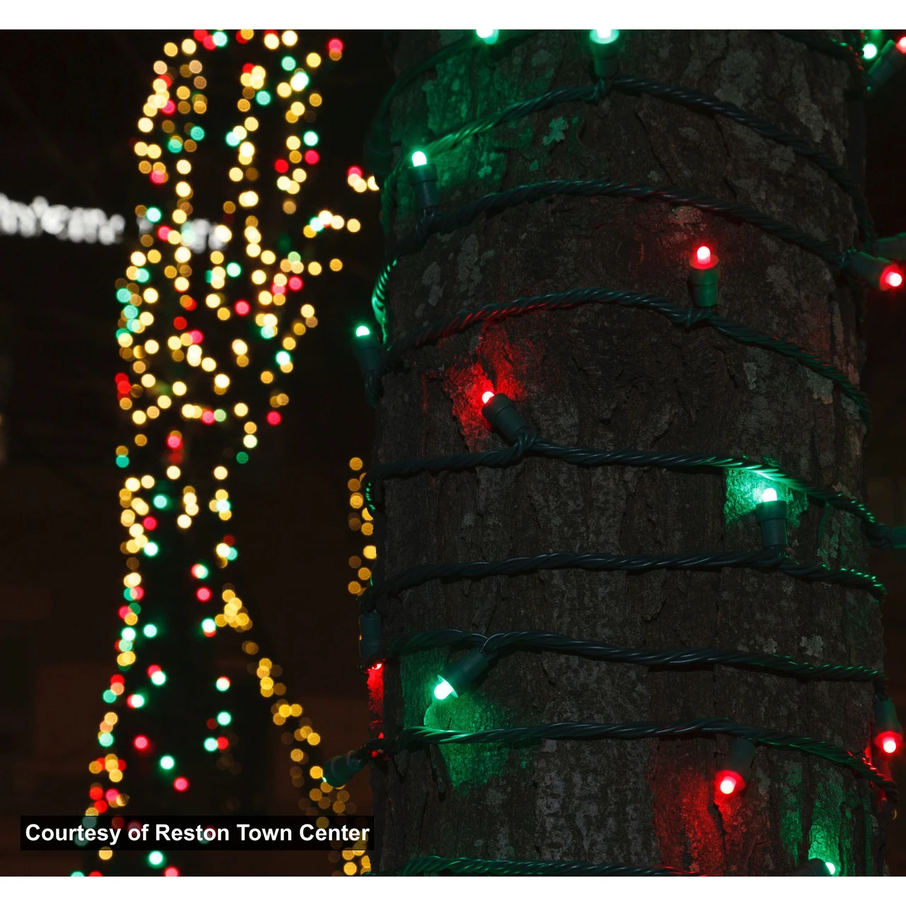 35 Warm White LED Wide Angle Christmas String Lights - 12 Ft Green Wire 4 35 Warm White LED Wide Angle Christmas String Lights - 12 Ft Green Wire - Image 2