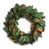 Magnolia Leaf Artificial Christmas Wreath - 24-Inch, Unlit -Optimal Christmas Shop dnapa di1268 01 34656.1667562152