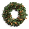 Magnolia Leaf Artificial Christmas Wreath - 30-Inch, Unlit -Optimal Christmas Shop dnapa di1269 1 90805.1686180930