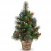 2’ X 14” Pre-Lit Crestwood Spruce Artificial Christmas Tree – Multi-Color LED Lights 2 2’ X 14” Pre-Lit Crestwood Spruce Artificial Christmas Tree – Multi-Color LED Lights -Optimal Christmas Shop dnat20cw7 334m 20 04548.1667658651