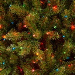 7.5’ Pre-Lit Dunhill Fir Artificial Christmas Tree - Multi-Color Lights -Optimal Christmas Shop dnat20duh 75rlo 1 updated 62209.1667656554