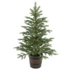 4' Potted Norwegian Spruce Entrance Artificial Christmas Tree – Unlit -Optimal Christmas Shop dnat20peng4 700 40p 18880.1667574614
