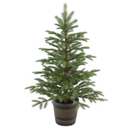 4' Potted Norwegian Spruce Entrance Artificial Christmas Tree โ Unlit