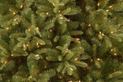 6.5’ Pre-Lit Tiffany Fir Artificial Christmas Tree – Clear Lights 5 6.5’ Pre-Lit Tiffany Fir Artificial Christmas Tree – Clear Lights -Optimal Christmas Shop dnat20petf3 304 65 1 76496.1667656496