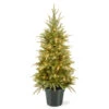 4' Pre-lit Potted Weeping Spruce Artificial Christmas Tree โ Clear Lights 1 4' Pre-lit Potted Weeping Spruce Artificial Christmas Tree โ Clear Lights -Optimal Christmas Shop dnat20pews3e28090373e2809040 65696.1667576129