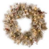 30" Pre-Lit Snowy Bedford Pine Artificial Christmas Wreath - LED Lights With Battery Operated 1 30" Pre-Lit Snowy Bedford Pine Artificial Christmas Wreath - LED Lights With Battery Operated -Optimal Christmas Shop dnat20sbe1 308 30wbc1 11742.1667580431
