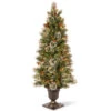 5" Pre-Lit Potted Wintry Pine Artificial Entrance Tree - Clear Lights -Optimal Christmas Shop dnat20wp1e28090302e2809050 57493.1667512031