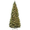 12 Ft. Carolina Pine Slim Tree With Clear Lights 1 12 Ft. Carolina Pine Slim Tree With Clear Lights -Optimal Christmas Shop dnat cap3 330 120 1 50166.1667574627