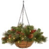 16" Pre-Lit Green Crestwood Spruce Hanging Christmas Decor With White LED Lights -Optimal Christmas Shop dnat cw7 300 16h b1 1 69299.1667570723
