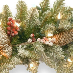 Pre-Lit Dunhill Fir Artificial Christmas Wreath With Red Berries – 24-Inch Clear Lights -Optimal Christmas Shop dnat duf 300 24w 1 3 95221.1667616352