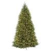 10’ Pre-Lit Dunhill Fir Artificial Christmas Tree - Clear Lights 2 10’ Pre-Lit Dunhill Fir Artificial Christmas Tree - Clear Lights -Optimal Christmas Shop dnat duh 100lo s 1 23413.1667656550