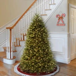 6’ Pre-Lit Dunhill Artificial Christmas Tree - Clear Lights 7 6’ Pre-Lit Dunhill Artificial Christmas Tree - Clear Lights -Optimal Christmas Shop dnat duh 60lo 2 31876.1667491361