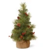 18" Medium Miniature Pine Burlap Base Artificial Christmas Tree - Unlit -Optimal Christmas Shop dnat ed7 703 18 1 1 71651.1667569307