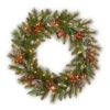 24" Pre-Lit Frosted Pine Berry Artificial Christmas Wreath -LED Lights Battery Operated 2 24" Pre-Lit Frosted Pine Berry Artificial Christmas Wreath -LED Lights Battery Operated -Optimal Christmas Shop dnat fpb 300 24wb 1 1 87932.1667489329