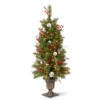 4’ Pre-Lit Frosted Pine Artificial Christmas Tree - Clear Lights 2 4’ Pre-Lit Frosted Pine Artificial Christmas Tree - Clear Lights -Optimal Christmas Shop dnat fpb 306 40 1 78715.1667578094