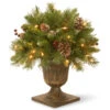 1.5' Pre-lit Potted Frosted Berry Christmas Tree – Clear Lights -Optimal Christmas Shop dnat frb3 18pblo 1 83444.1667571957