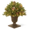 24” Pre-lit Frosted Berry Porch Christmas Tree – Clear Lights -Optimal Christmas Shop dnat frb3 24plo 1 80617.1667522079