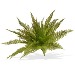 21" Garden Accents Ruffle Fern Plant