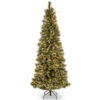 6.5’ Pre-Lit Glittery Bristle Artificial Christmas Tree – Warm White LED Lights 1 6.5’ Pre-Lit Glittery Bristle Artificial Christmas Tree – Warm White LED Lights -Optimal Christmas Shop dnat gb3 319 65 1 26938.1667571924