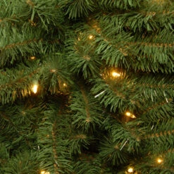 6’ Pre-lit Kincaid Spruce Artificial Christmas Tree –Clear Lights 6 6’ Pre-lit Kincaid Spruce Artificial Christmas Tree –Clear Lights -Optimal Christmas Shop dnat kcdr 60lo 2 43080.1667574603